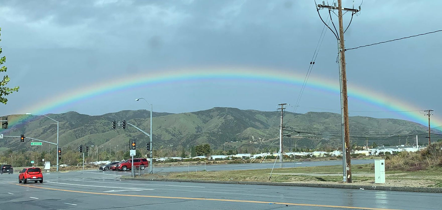 Photo of the week